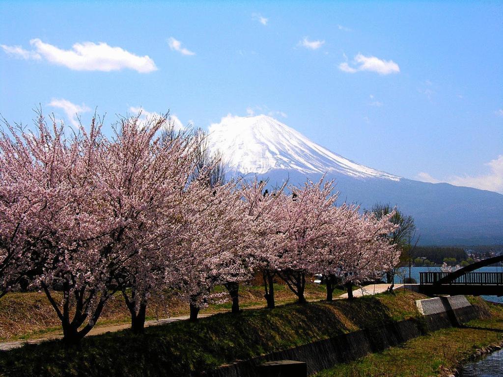 Guesthouse Sakuya Fujikawaguchiko Extérieur photo